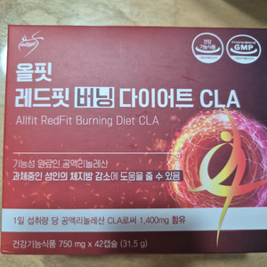 버닝다이어트