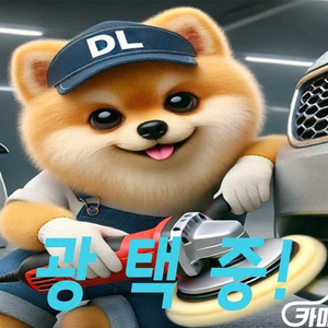 [쉐보레]올란도 2.0 디젤 LTZ 프리미엄 #앱특가