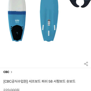 CBC 피쉬 보드 숏 스펀지 이마트 서핑 서프 5.8