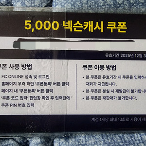 fc온라인 넥슨캐시 5000원 10장