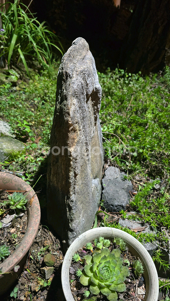 돌부처(자연골동품)--5