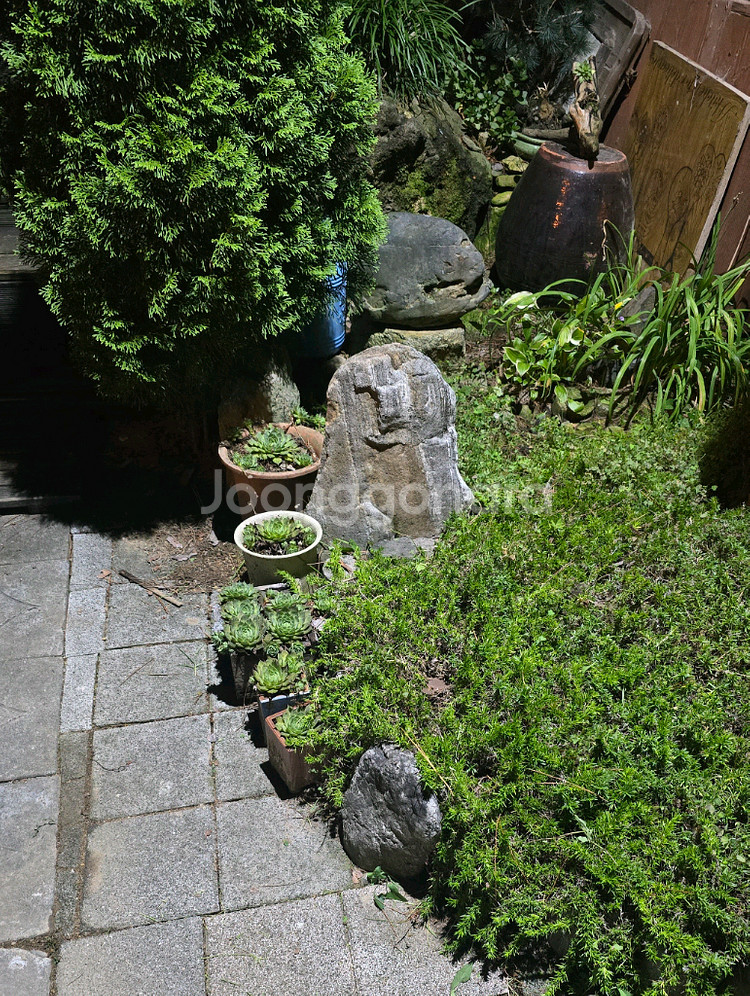 돌부처(자연골동품)--3