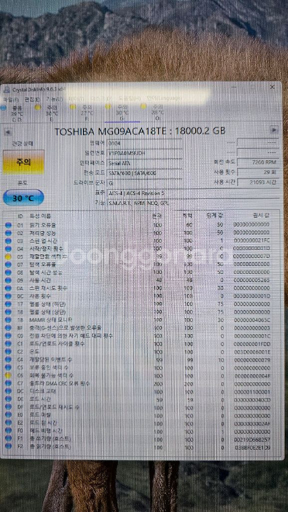 도시바 MG09ACA 18TB HDD 엔터프라이즈--5