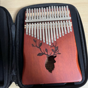 칼림바 가격제안 받아요