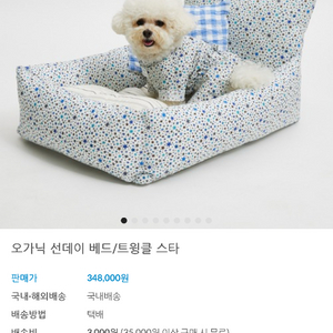 루이독 붐하우스
