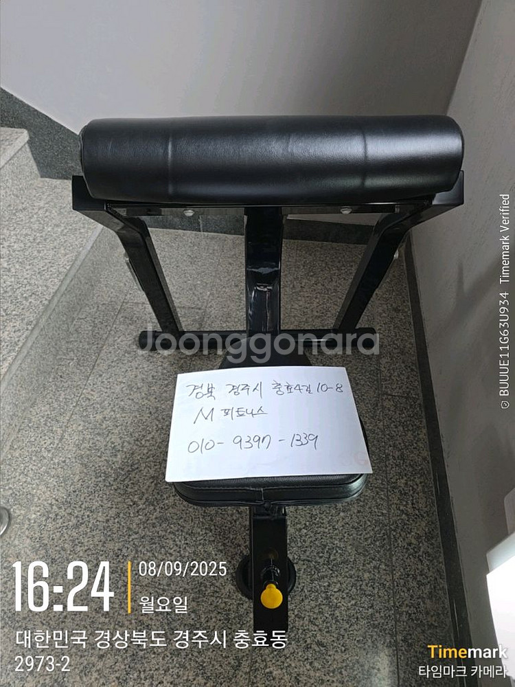 암컬 벤치 저렴하게 팝니다.--3