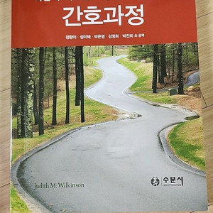 비판적사고를 적용한 간호과정 (수문사)