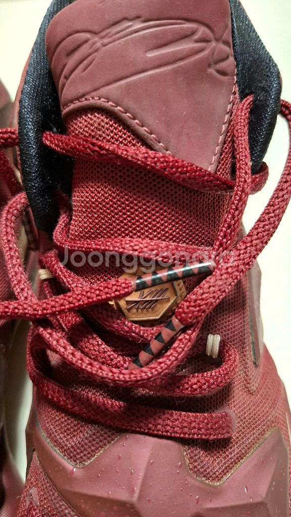 나이키 르브론 13 그레이트니스 265mm 농구화--4