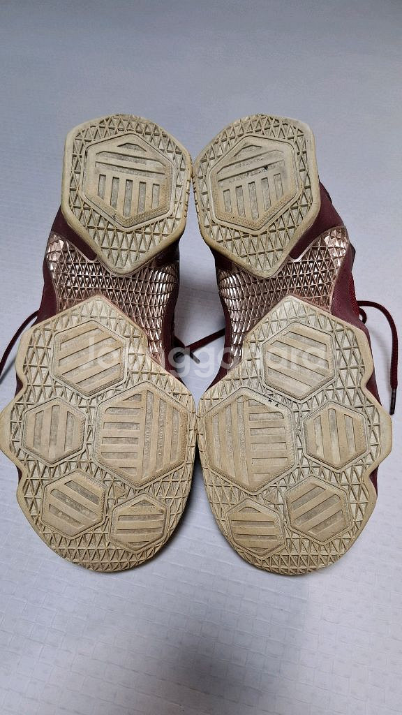 나이키 르브론 13 그레이트니스 265mm 농구화--7