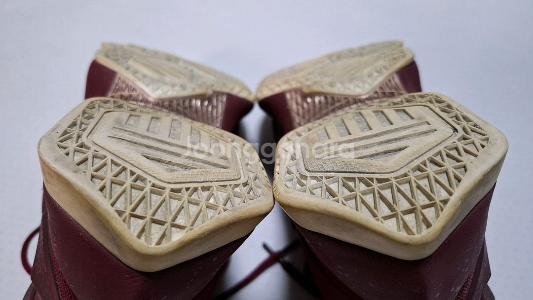 나이키 르브론 13 그레이트니스 265mm 농구화--8