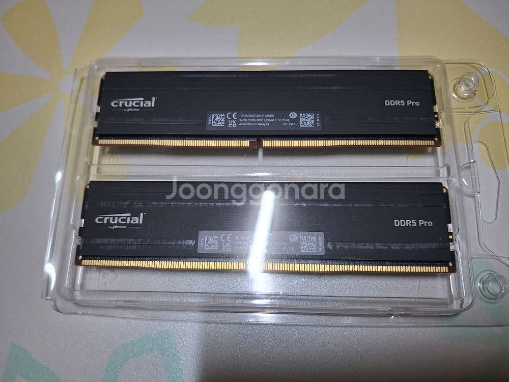 크루셜 PRO DDR5 6000 24G*2 48GB--0