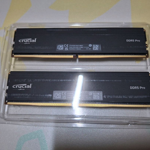 크루셜 PRO DDR5 6000 24G*2 48GB