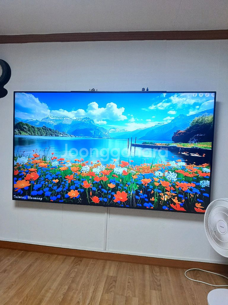 lg75인치스마트tv--1