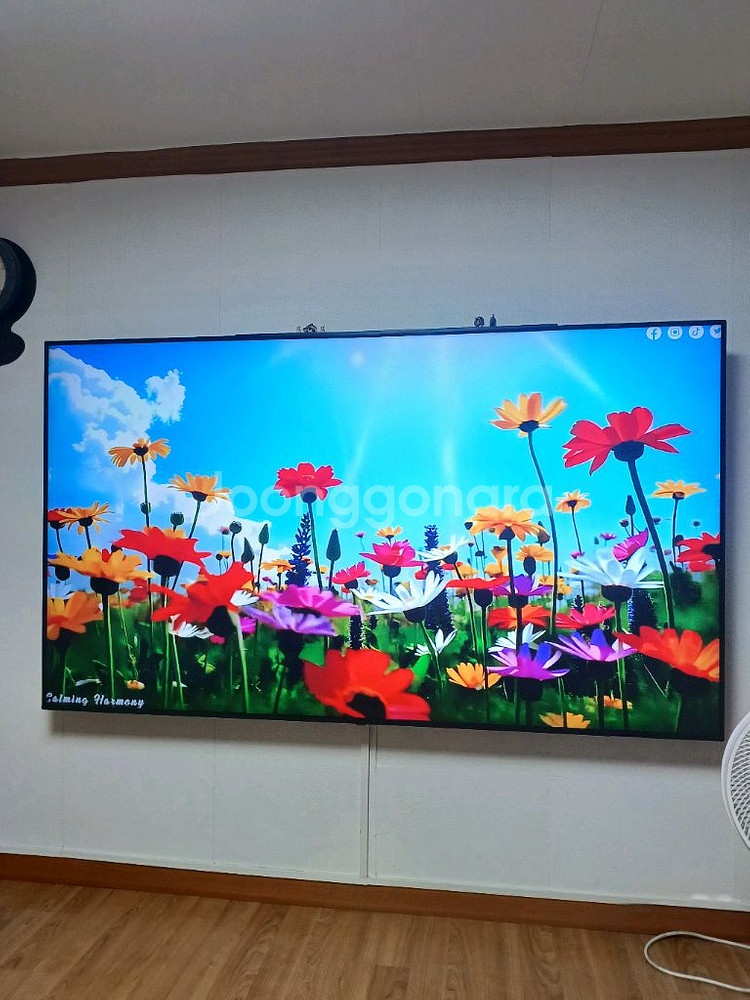 lg75인치스마트tv--0