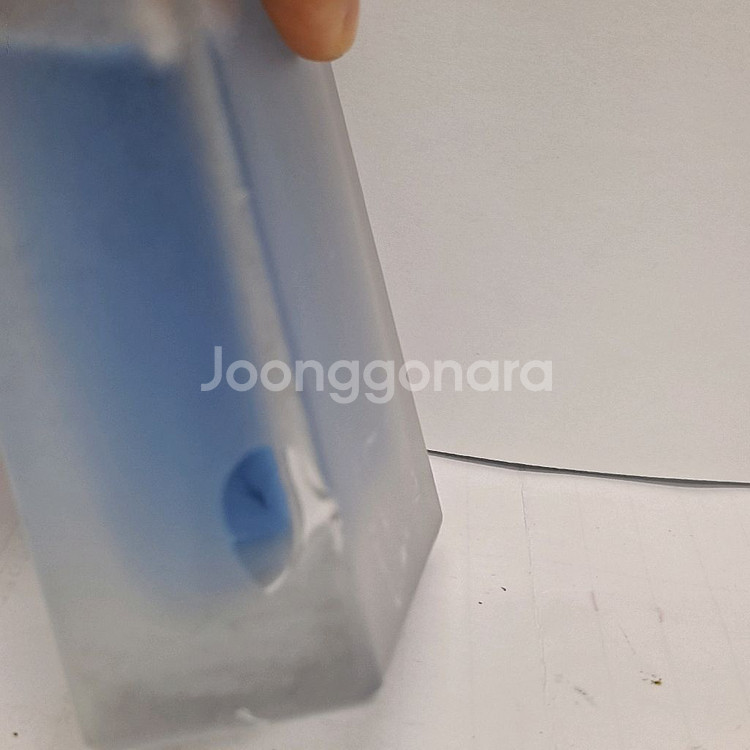 돌체앤가바나 라이트 블루 100ml 0909--2