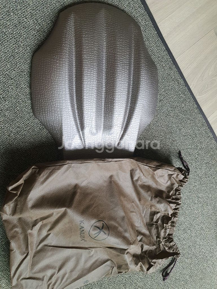 가누다 허리냅--0