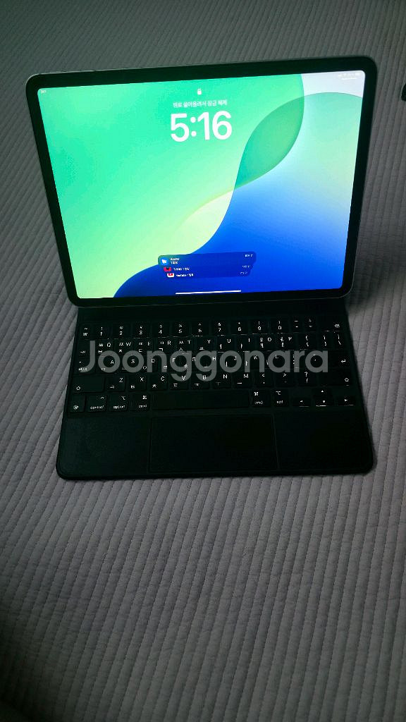 아이패드 프로11 4세대(M2) 256gb 셀룰러--1