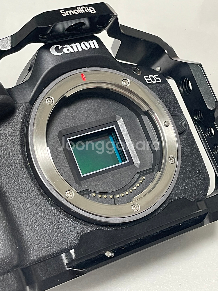캐논 eos r50 16-45 렌즈킷 / 케이지+필터--3