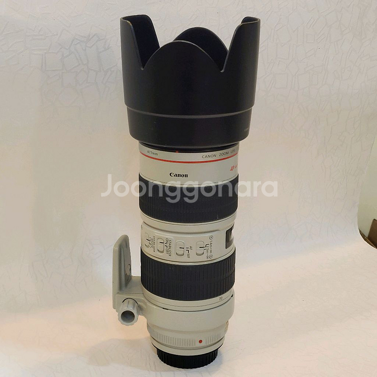 캐논 EF 70-200mm 1:2.8 L IS USM--3