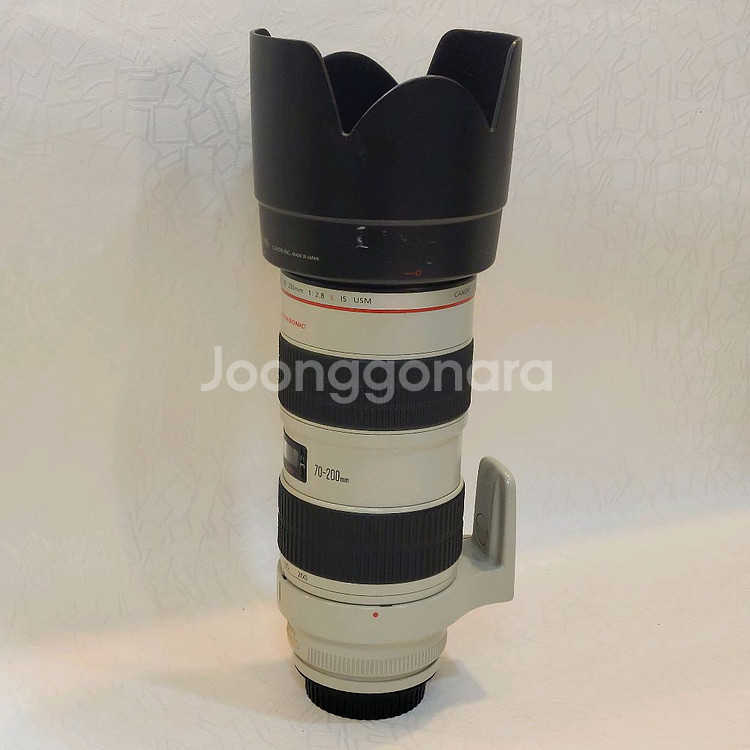 캐논 EF 70-200mm 1:2.8 L IS USM--2