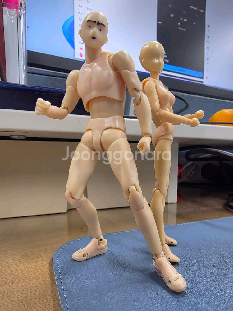 SHF 바디쿤/바디짱 DX 세트로 팝니다.--0