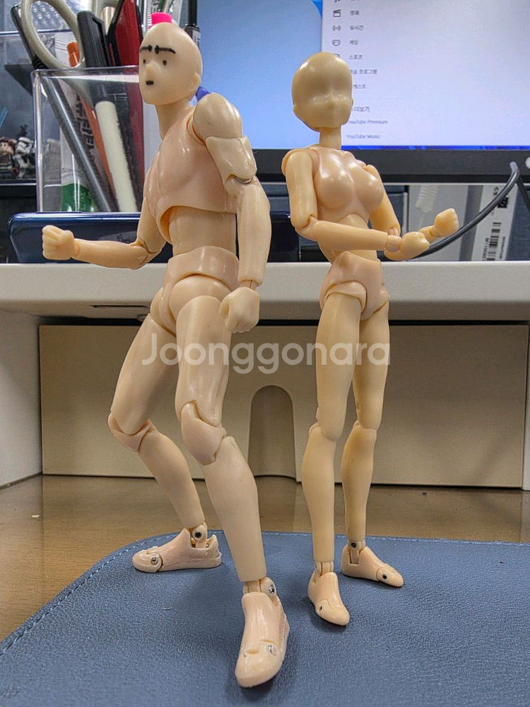 SHF 바디쿤/바디짱 DX 세트로 팝니다.--1