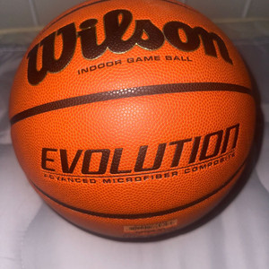 윌슨 에볼루션 농구공 7호