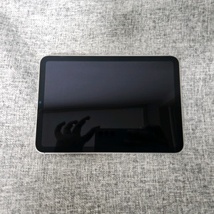 아이패드미니 7세대 셀룰러 256gb