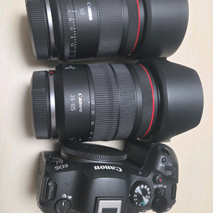 캐논R6M2 RF24105F4L RF50mm f1.4