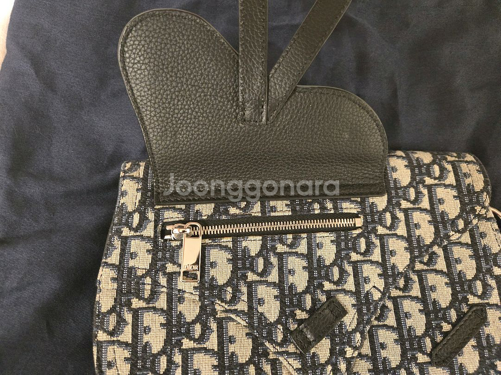 디올 오블리크 새들백 팝니다.--5