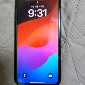 아이폰xr