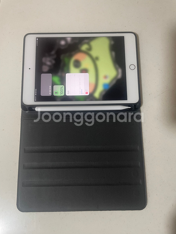 아이패드 미니 5세대 64G wifi 모델 판매합니다--1