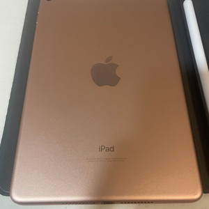 아이패드 미니 5세대 64G wifi 모델 판매합니다