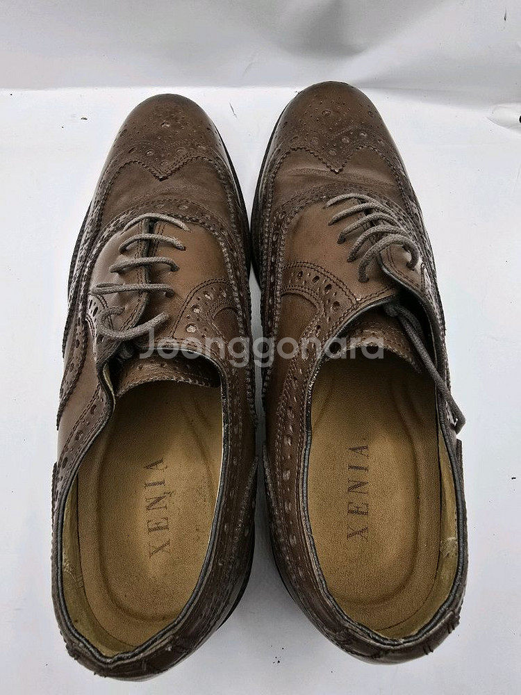 제니아브라운 윙팁 남성 구두270--1