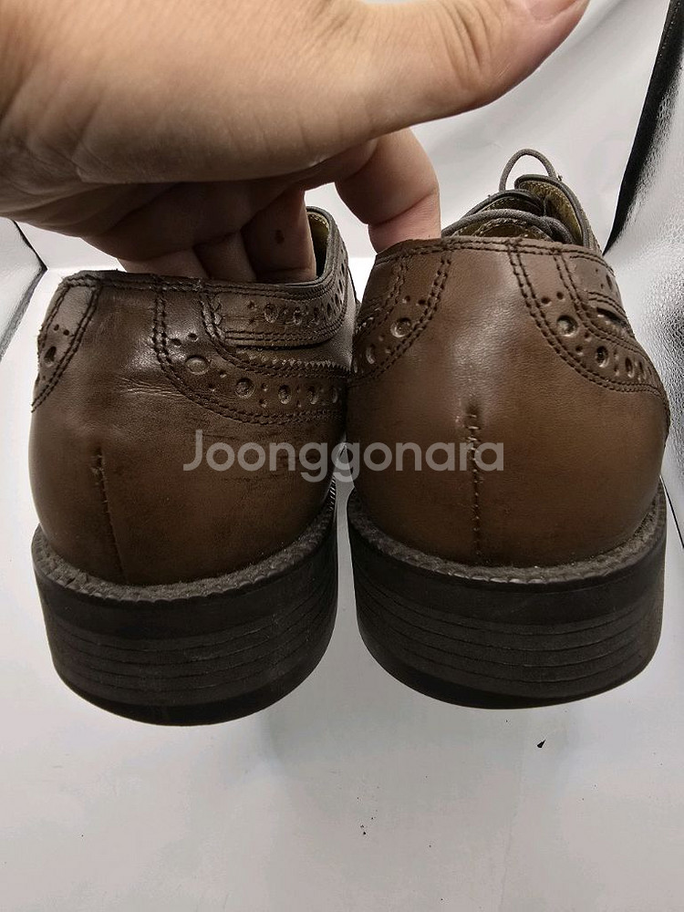 제니아브라운 윙팁 남성 구두270--5