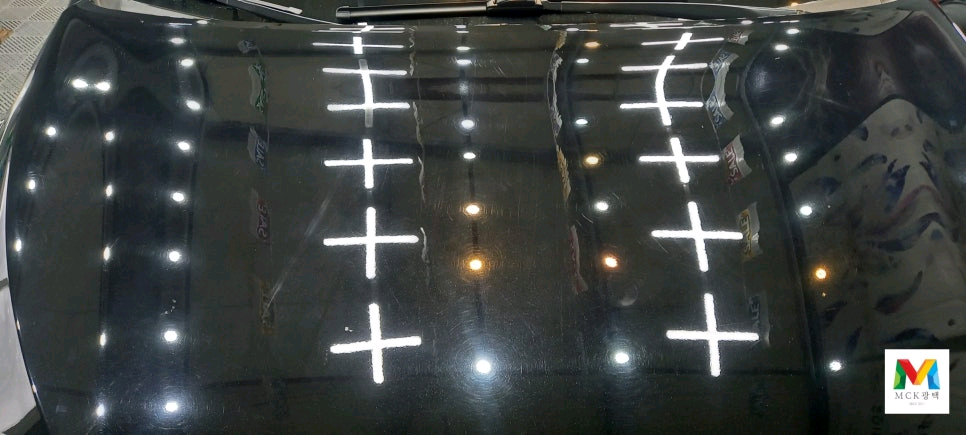 올뉴카니발 M광택 이미지