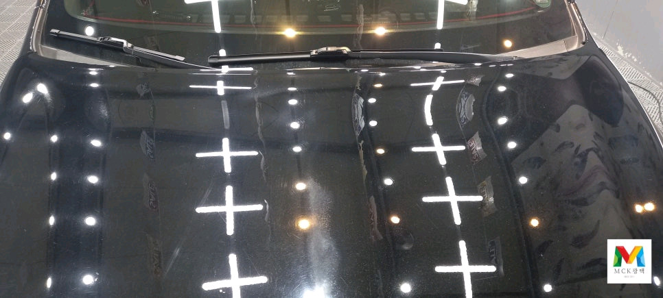 올뉴카니발 M광택 이미지