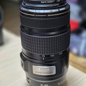 Canon EF 75-300mm f/4-5.6 IS