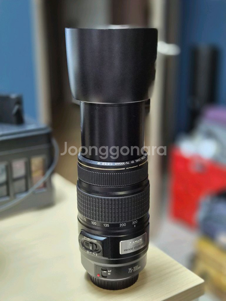 Canon EF 75-300mm f/4-5.6 IS--3