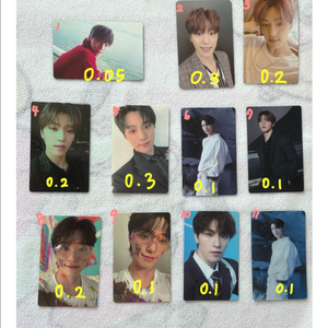 세븐틴 디노 포카