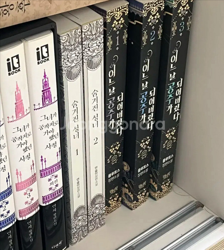 어느날 공주가 되어버렸다 소설 1-3권--0