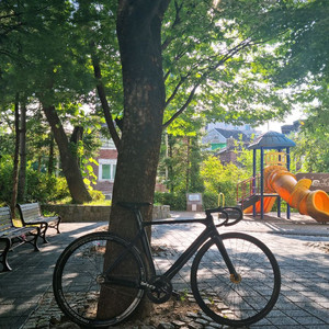 카본 트랙 픽시 판매합니다