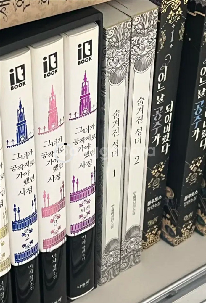 로판 소설 숨겨진 성녀--0