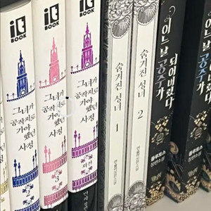 로판 소설 숨겨진 성녀