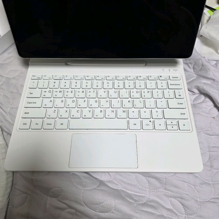 갤럭시 탭 S10+ 5G 512 플래티넘 실버+hou--2