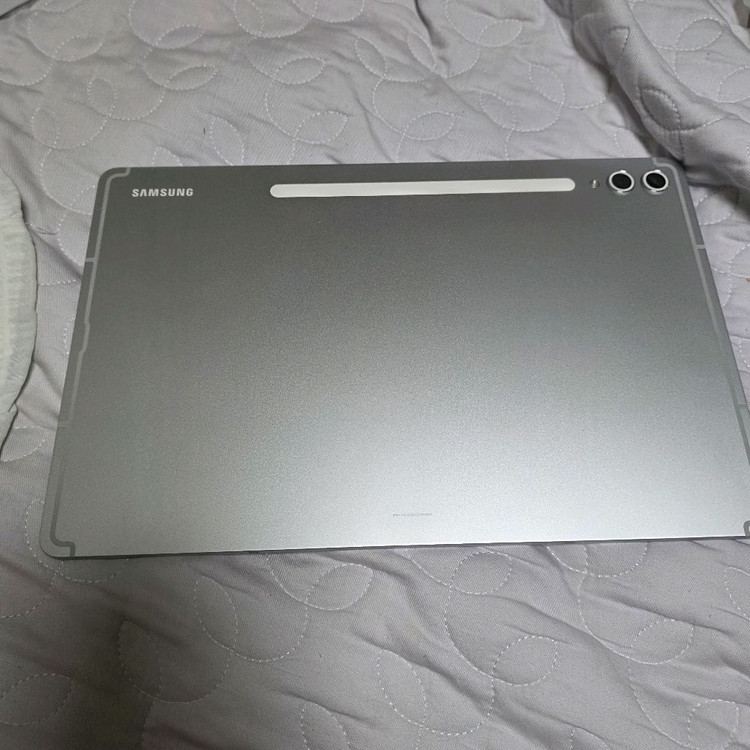 갤럭시 탭 S10+ 5G 512 플래티넘 실버+hou--1