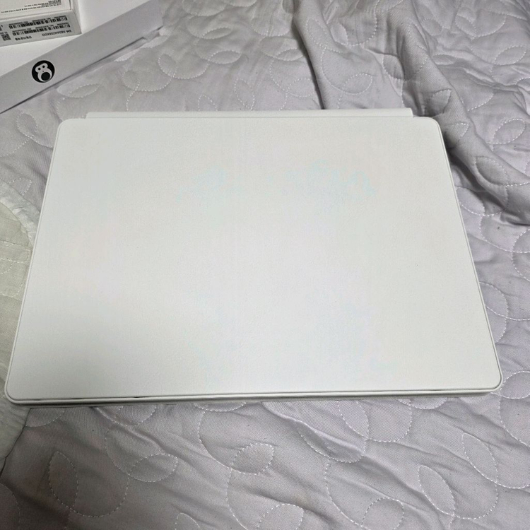 갤럭시 탭 S10+ 5G 512 플래티넘 실버+hou--4