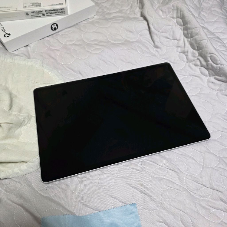 갤럭시 탭 S10+ 5G 512 플래티넘 실버+hou--0