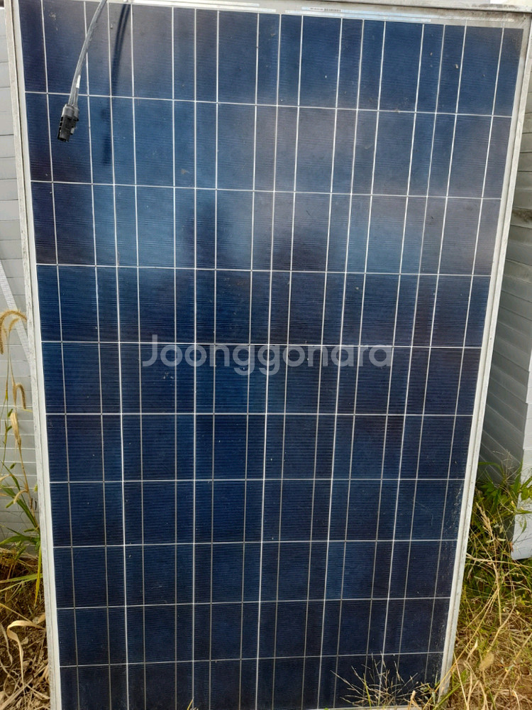 중고 tynslar태양광패널 230w 판매--0