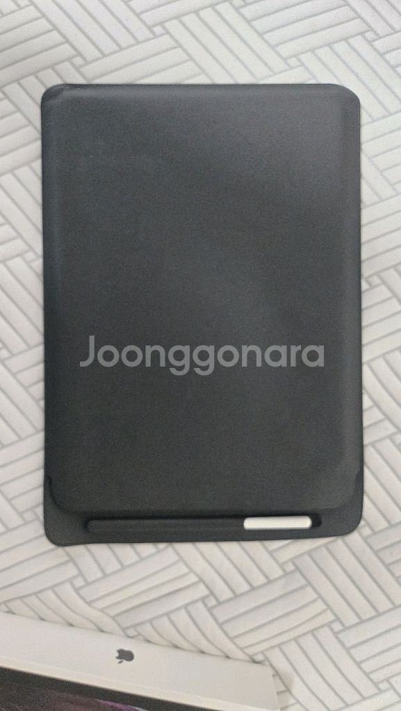 아이패드 프로 12.9 3세대 256 + 애플펜슬 2--1